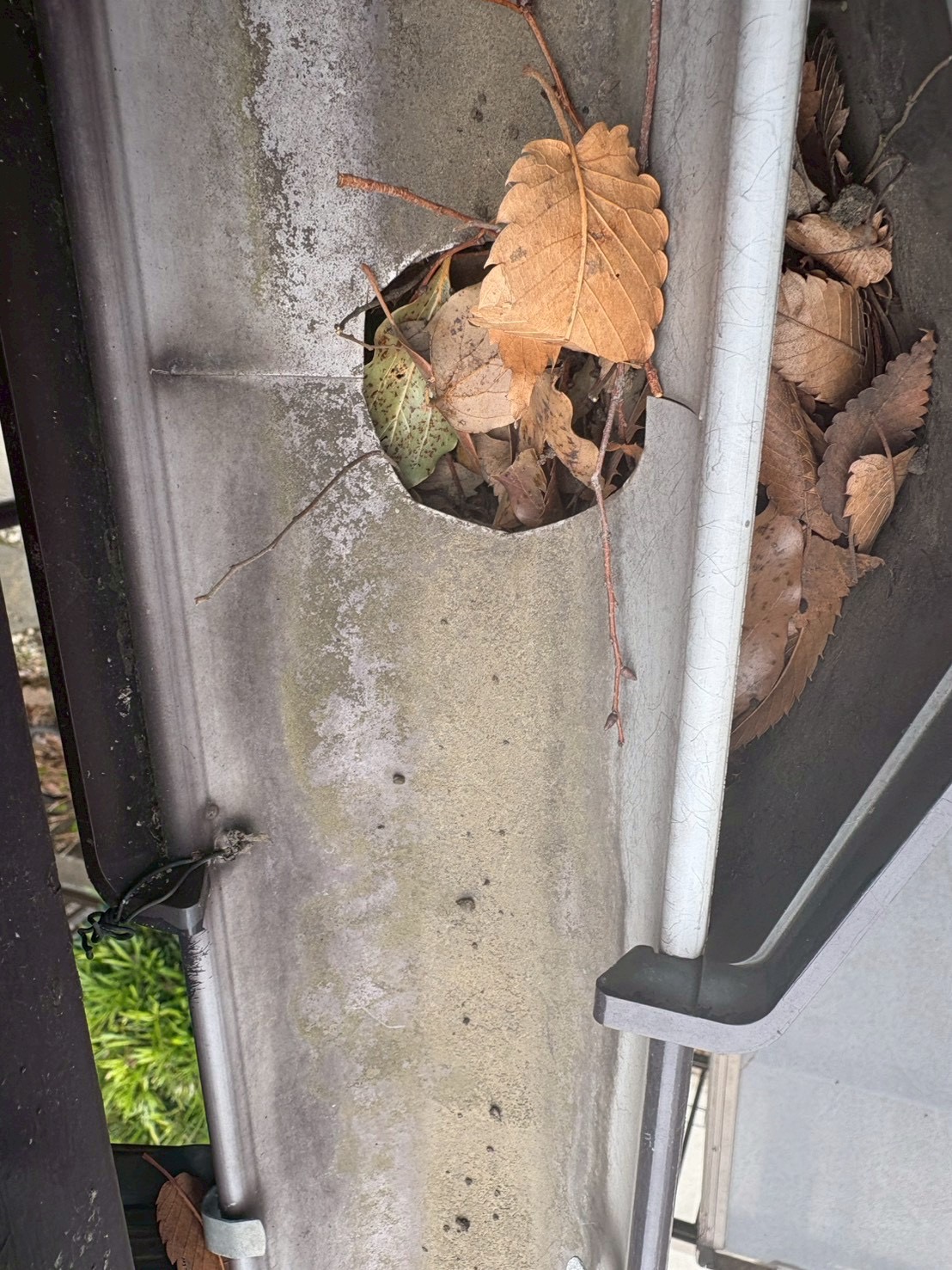 2階の雨樋掃除