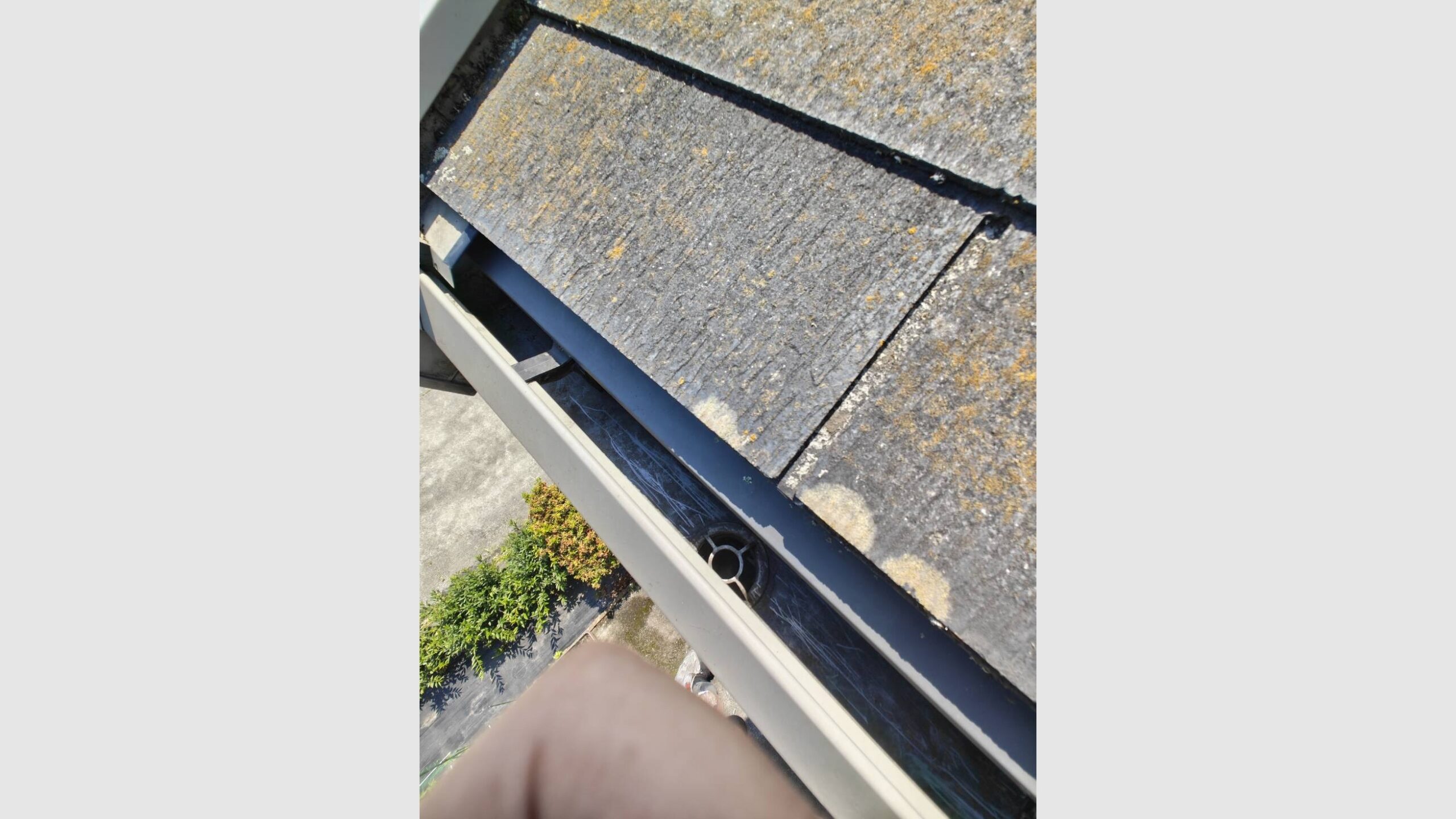 草が生えるほど詰まった雨どいを部分清掃